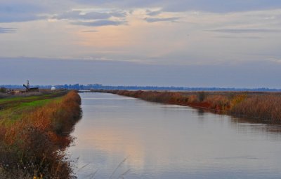 water for the rice fields.jpg