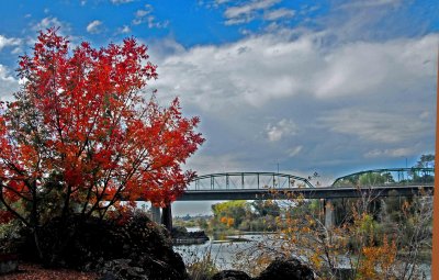 feather river in fall.jpg