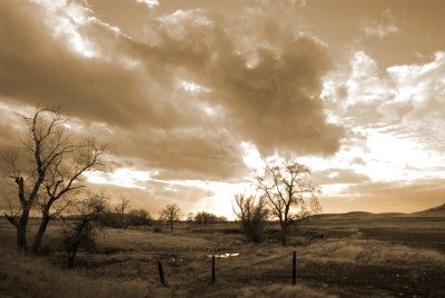 sepia on a cloudy day.jpg