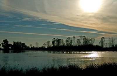 sunrise bird sanctuary.jpg