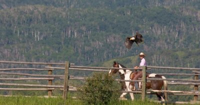 home_ranch