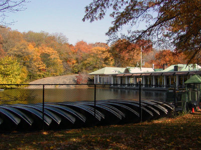 65.JPG