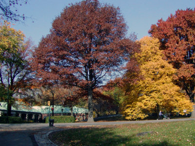 68.JPG