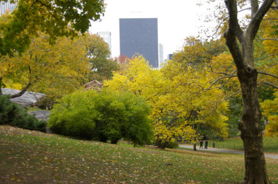 IMGP6792.JPG