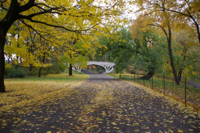 IMGP7025.JPG