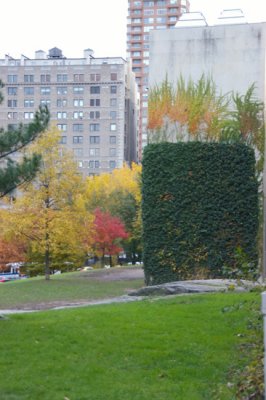 IMGP7115.JPG