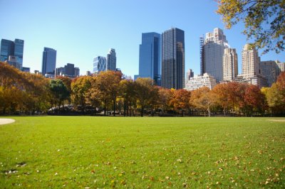 IMGP7227.JPG