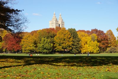 IMGP7241.JPG