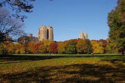 IMGP7245.JPG