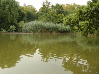 11.JPG