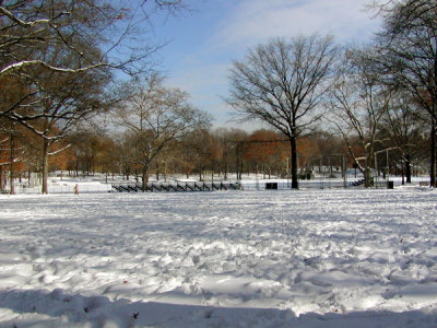 P1010006.JPG