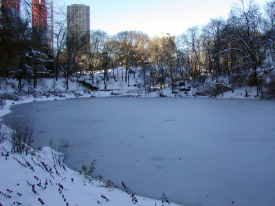 P1010024.JPG