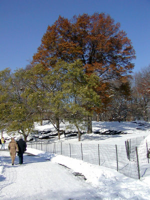 P1010047.JPG