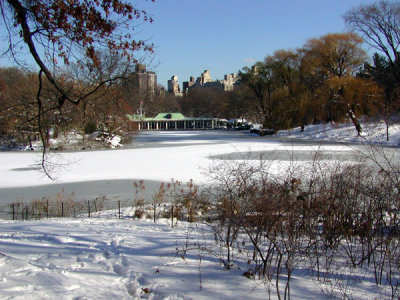 P1010079.JPG
