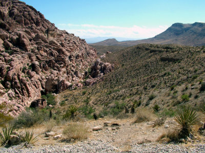48-DSCF5625.JPG