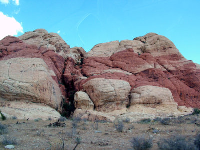 50-DSCF5647.JPG