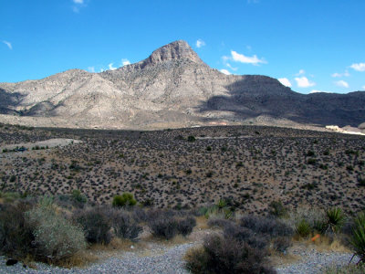 54-DSCF5655.JPG