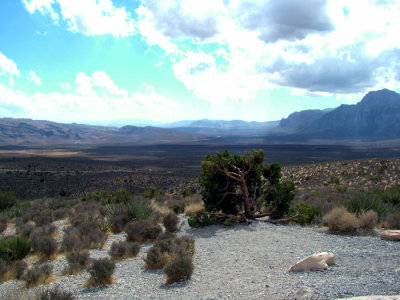 55-DSCF5657.JPG