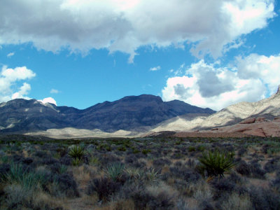 56-DSCF5650.JPG