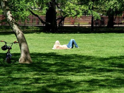 Half Dog,half Woman! 1- LICP 33.jpg