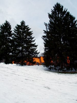 70.JPG