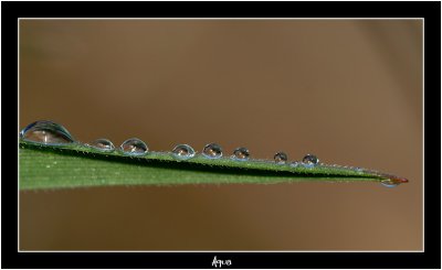 g1/49/880349/3/105578884.HYxAvMBQ.jpg