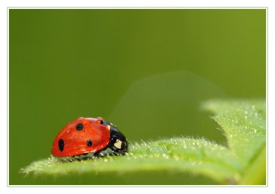 g1/49/880349/3/105579763.x4uIeo6A.jpg