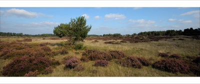 Gelderland(NL)