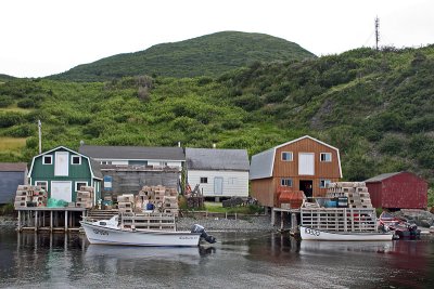 Newfoundland