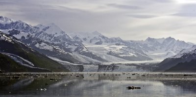 Harvard Glacier, at top of College Fjord, Alaska