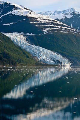 College Fjord, Alaska