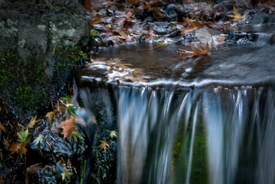 Fall of Leaves