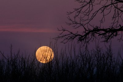 Sunset on Moonrise