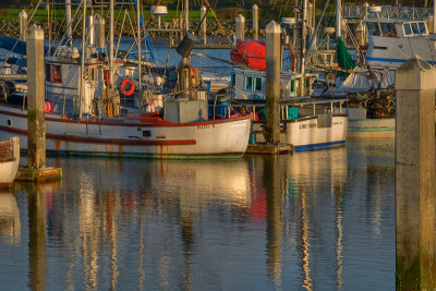 Woodley Island Marina