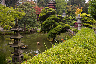 Japanese Tea Garden