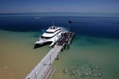 Tangalooma Wild Dolphin Resort - Moreton Island-Queensland. Australia