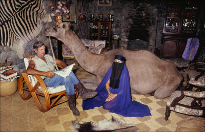 Boss Camels.jpg