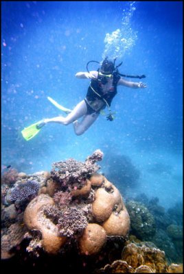 Diver.jpg