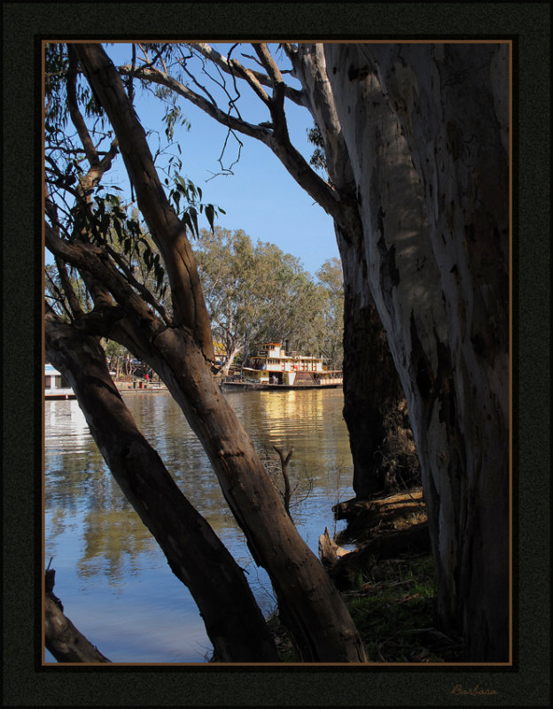 Murray River - Echuca