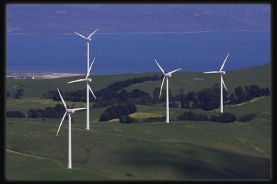 Toora Wind Farm