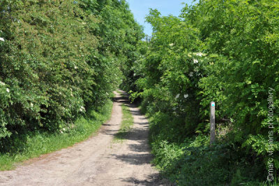 Katarakt wandeling