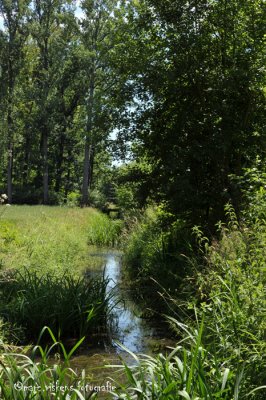 g1/49/956849/3/126705151.nogirKrJ.jpg
