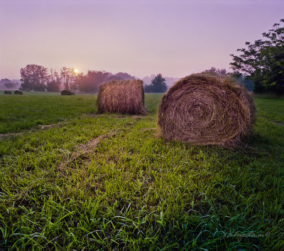 Hay Bales at Sunrise, Jeb Stuart Road