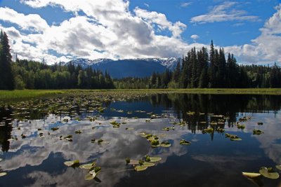 Canada-Alaska 2010 084b (Large).jpg