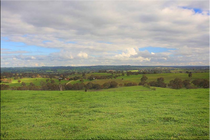 Late Winter in the Barossa Valley, South Australia