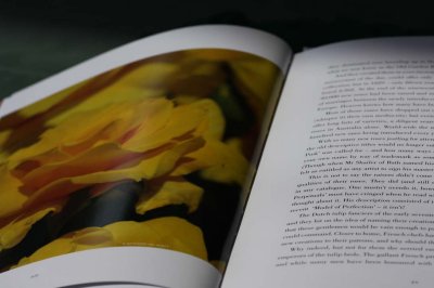 Open page of book - 3.jpg