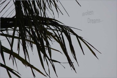 Challenge - Broken Dreams - 14