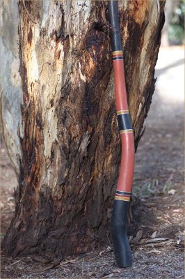 Challenge - D for Didgeridoo - 4 December