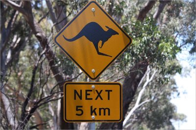 Challenge - K for Kangaroo Sign - December 11