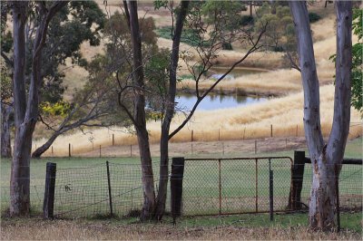 View of the dams in summer